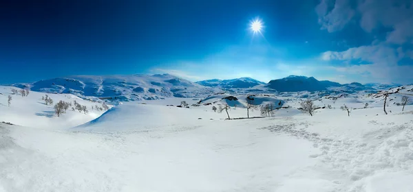 Montanha coberta de neve — Fotografia de Stock