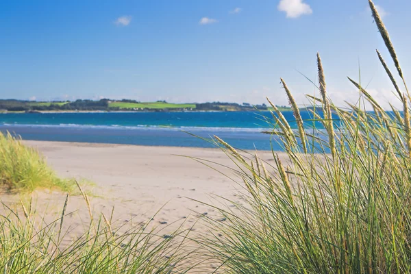 Norweski beach w słoneczny dzień — Zdjęcie stockowe