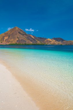 Komodo Adası