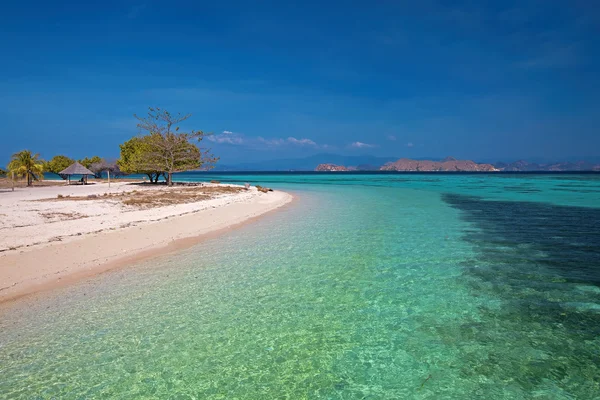 Ilha de Komodo — Fotografia de Stock