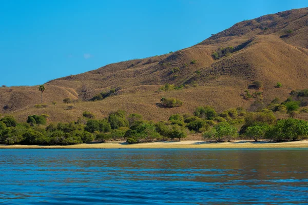 Wyspa Komodo — Zdjęcie stockowe