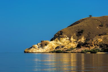 Komodo Adası