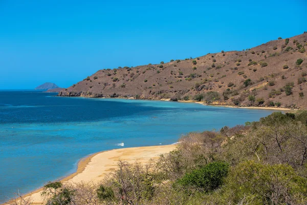 Ostrov Komodo — Stock fotografie