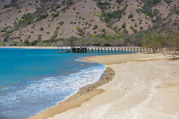 Komodo Eiland — Stockfoto