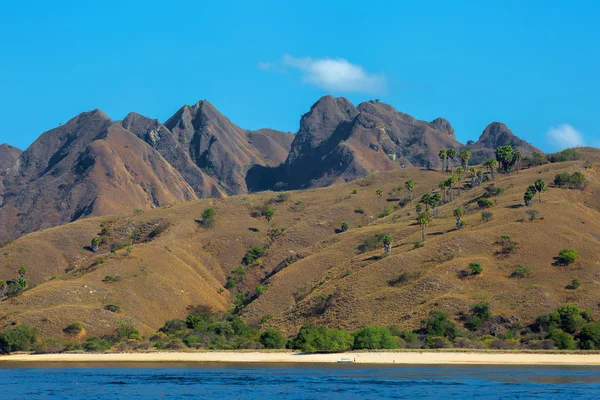 Ilha de Komodo — Fotografia de Stock