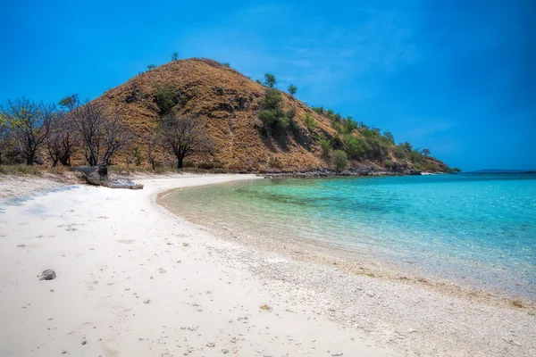 Ilha de Komodo — Fotografia de Stock