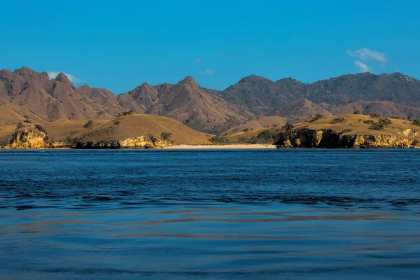 Komodo Eiland — Stockfoto