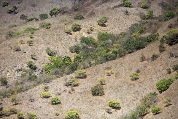 Komodo Eiland — Stockfoto