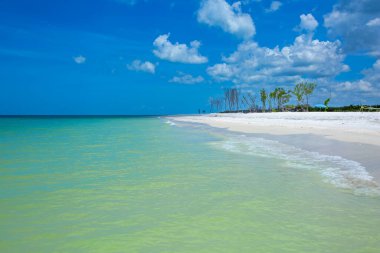 Marco Adası 'ndaki Kaplankuyruğu Sahili' nin güzel doğası