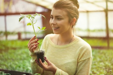 Çiftçi kız güneşli serayeşil fidan tutan