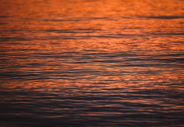 Mar Adriático Bonito Pôr Sol Costa Croata Entardecer Verão — Fotografia de Stock