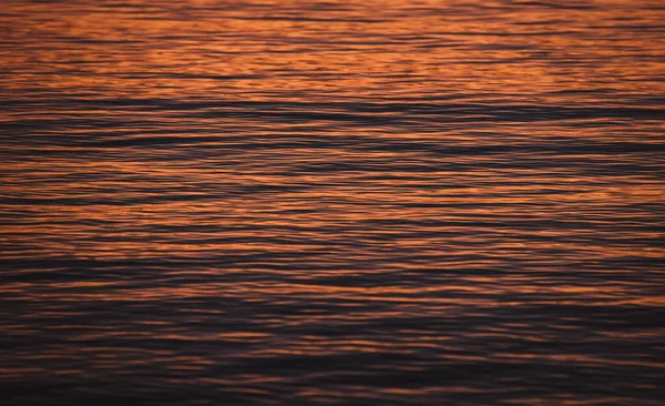 Wunderschönes Goldenes Sonnenuntergangslicht Auf Der Wasseroberfläche Der Adria — Stockfoto