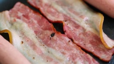 Ev mutfağında tavada kızaran pastırma şeritleri, yakın çekim 4K video klibi. Yakından ızgarada kızartılan domuz eti bantları. Kolesterollü sağlıksız yağlı yiyecekler. 