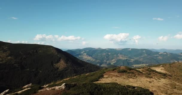 Luchtfoto Drone Beelden Van Karpaten Bergen Bedekt Met Groene Bomen — Stockvideo