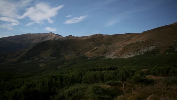 Beautiful Video Carpathian Mountain Park Western Ukraine Green Valley Mountains — Stock Video