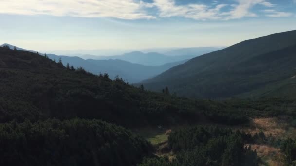 Hermoso Video Del Parque Montañoso Los Cárpatos Ucrania Occidental Silueta — Vídeo de stock