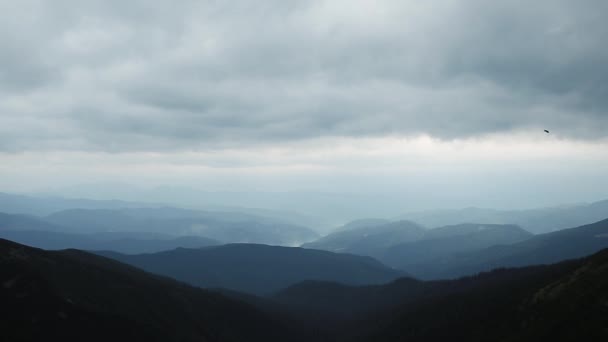 Belle Vidéo Parc Montagne Des Carpates Dans Ouest Ukraine Vallée — Video