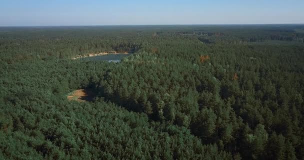 Letecké Bezpilotní Video Krásného Lesního Jezera Natočené Létající Kamerou Shora — Stock video