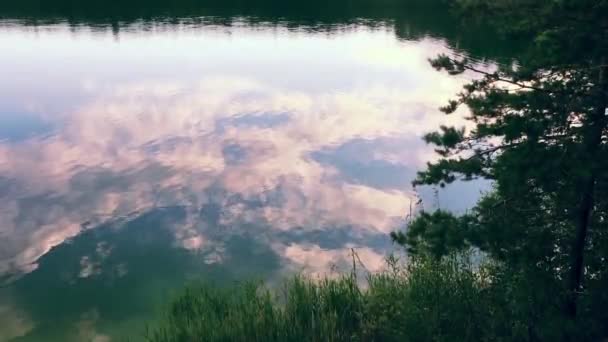 Schöne Sonnenuntergangsaufnahmen Gefilmt Waldsee Mit Einer Drohne Aus Der Luft — Stockvideo