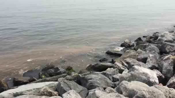 Polluted Water Sea Marmara Bosphorus Waterway Istanbul Turkey Waste Drifting — Stock Video