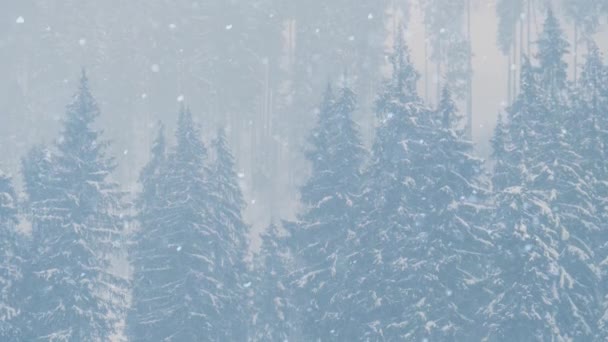 Сніг Падає Гірському Лісі Сніговий Зимовий День Високогірному Природному Парку — стокове відео
