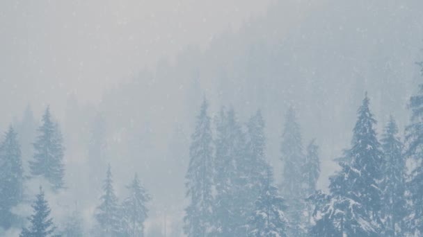 Neve Che Cade Nella Foresta Montagna Giornata Invernale Nevosa Nel — Video Stock