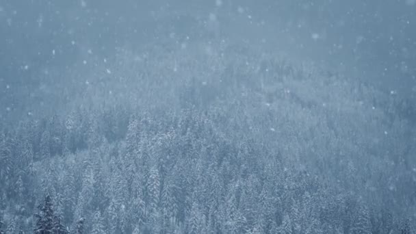 Snö Faller Fjällskog Snöig Vinterdag Höglandets Naturpark Filmad Vandringstur Kalla — Stockvideo