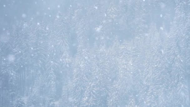 Neve Che Cade Nella Foresta Montagna Giornata Invernale Nevosa Nel — Video Stock