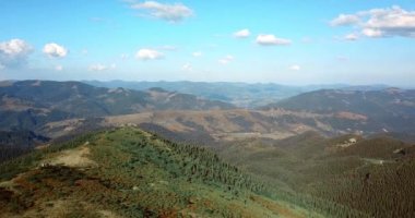 Güneşli bir günde Carpathian dağlarının hava aracı video klibi. 4K 'da uçan kuadrokopter kamerasıyla yeşil vadi ve mavi gökyüzü ile dağ parkında yürüyüş turu yaparken çekilmiş güzel manzara görüntüleri.