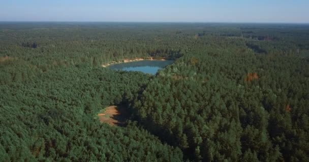 Aerial Drone Footage Filmed Green Forest Flight Blue Lake Crystal — Stock Video