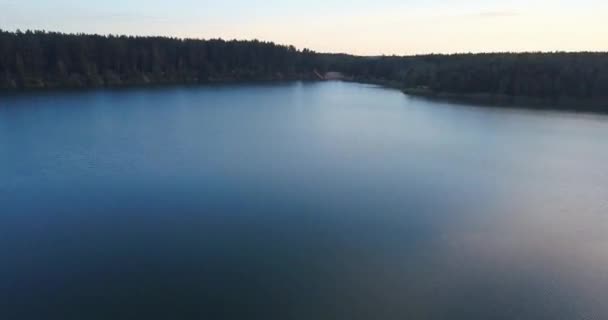 Luchtfoto Drone Beelden Gefilmd Groen Bos Tijdens Vlucht Boven Het — Stockvideo