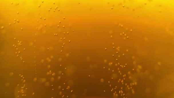 Пивные Пузырьки Закрывают Видеоклип Стакан Золотистым Алкогольным Напитком Сняли Видео — стоковое видео