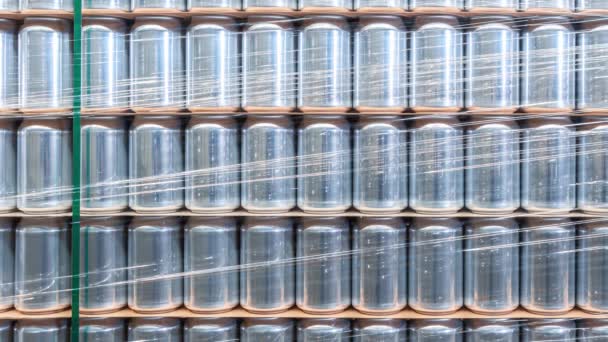 Aluminium Metalen Blikjes Verpakt Brouwerij Nieuwe Blik Van 500 Voor — Stockvideo