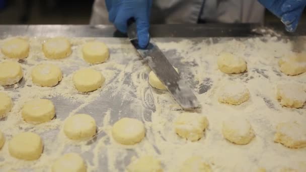 Trabalhador Cozinha Cozinhando Cheesecakes Com Queijo Cottage Fresco Restaurante Preparação — Vídeo de Stock