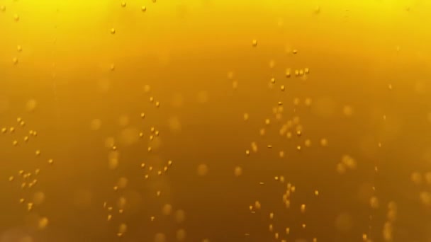 Пивные Пузырьки Закрывают Видеоклип Пинтовое Стекло Золотым Алкогольным Напитком Снимается — стоковое видео