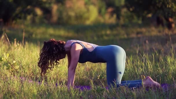 Ung Kvinna Gör Yoga Träning Matta Grön Park — Stockvideo