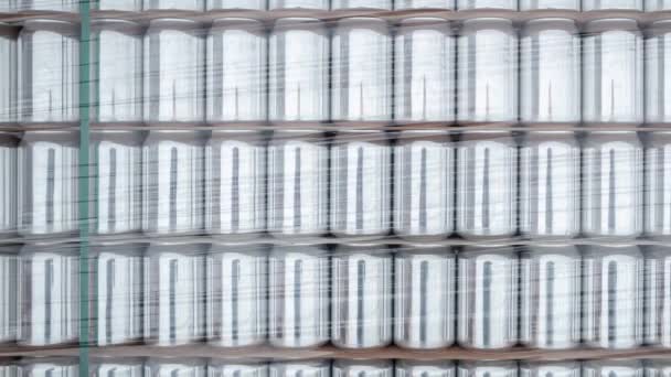 Latas Metal Alumínio Embaladas Cervejaria Novo 500 Pode Estoque Para — Vídeo de Stock