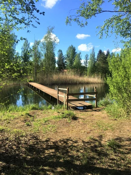 Bel Paesaggio Con Stagno Alberi — Foto Stock