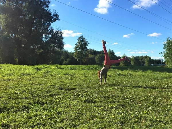 Menina Cabeça Para Baixo Grama — Fotografia de Stock