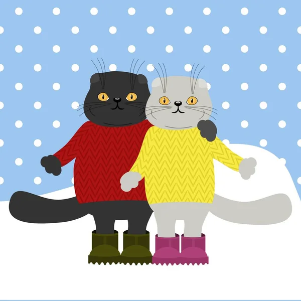 Pair Nice Scottish Cats Winter Day — Stock Vector