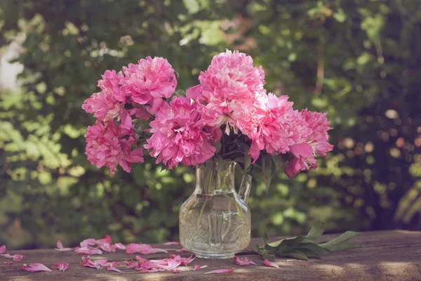 Kwiaty różowe piwonie w wazonie odkryty — Zdjęcie stockowe