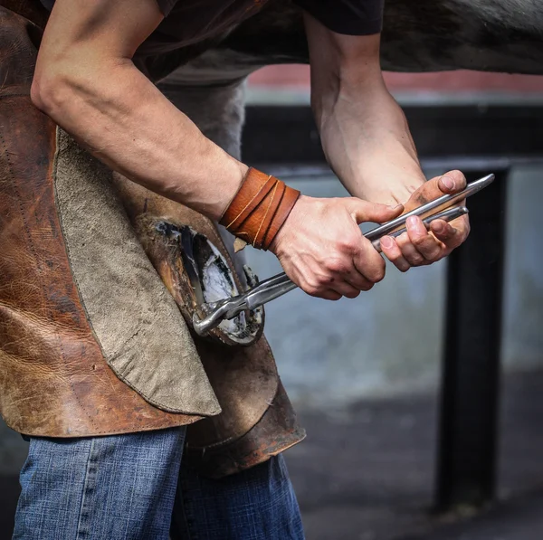 Farrier taking off old horseshoe — Stock Photo, Image