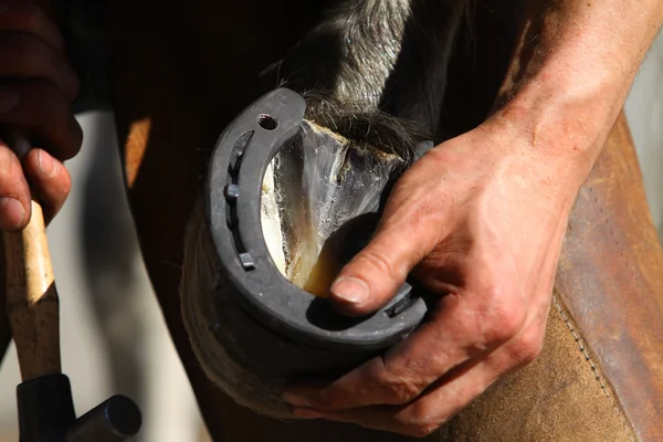 Obras de farrier — Fotografia de Stock