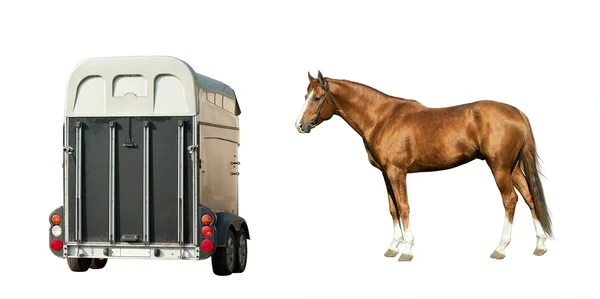 Horse and horse-transport isolated on white — Stock Photo, Image