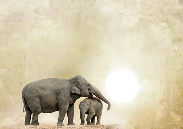 Elephants on a grunge background — Stock Photo, Image