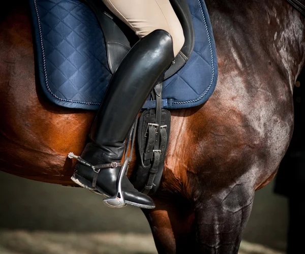 Jinete en un primer plano de caballo — Foto de Stock