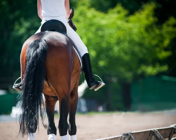 Vue arrière du cavalier sur un cheval — Photo