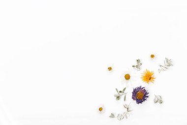 Çiçek kompozisyonu. Beyaz arka planda kurumuş çiçeklerden oluşan desen. Düz yatış, üst görünüm