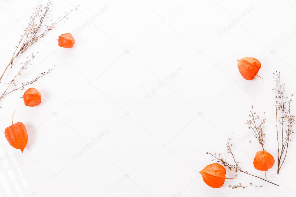 Twig of physalis, chinese lantern plant, bladder cherry or cape gooseberry.