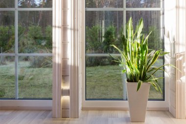 Büyük pencereli, yüksek tavanlı, beyaz ahşap zeminli parlak fotoğraf stüdyosu.